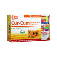 ASTINA Cur-Cum 60 kapslí