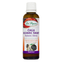 DR.POPOV Čaga rezavec šikmý bylinné kapky 50 ml